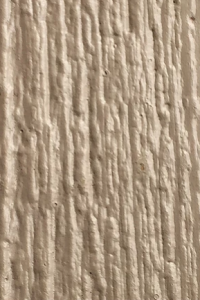 basswood