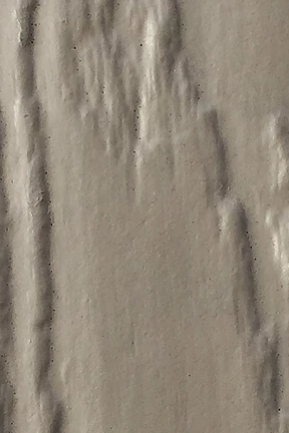 buckskin