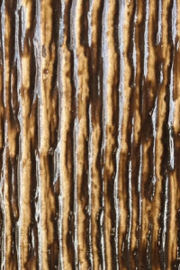 chestnut brown
