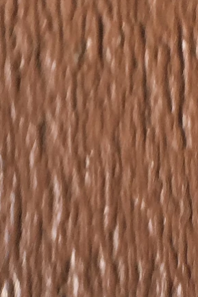 chestnut