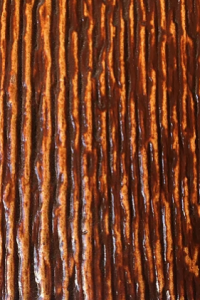red mahogany