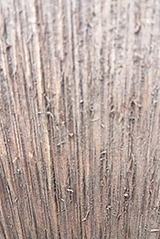 redwood stain